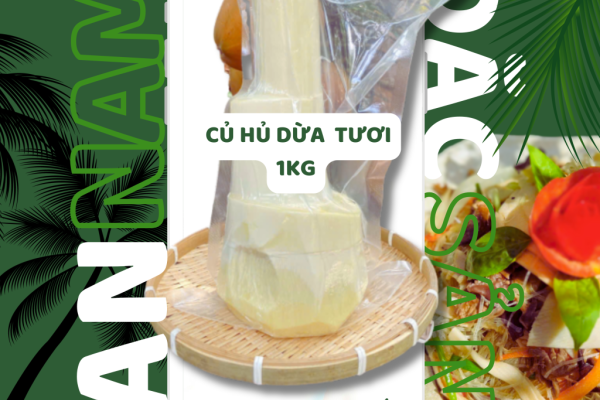 Cung cấp sỉ và lẻ củ hủ Bến Tre dừa toàn quốc