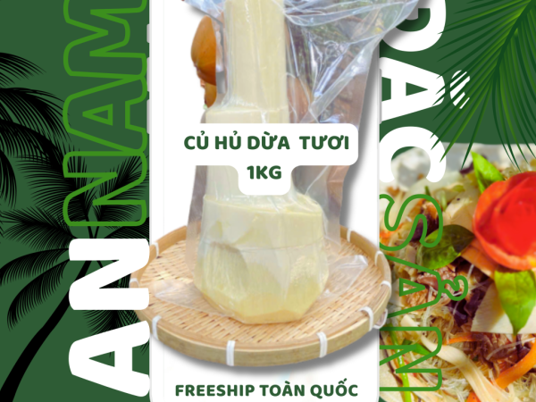 Cung cấp sỉ và lẻ củ hủ Bến Tre dừa toàn quốc