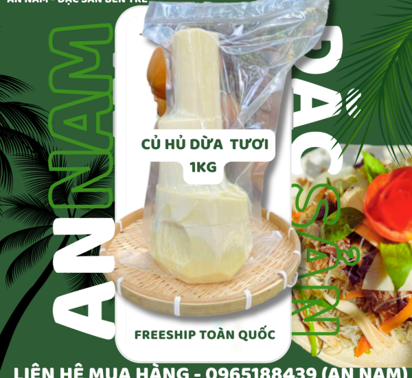 Cung cấp sỉ và lẻ củ hủ Bến Tre dừa toàn quốc