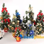 Chậu cây thông Noel mini