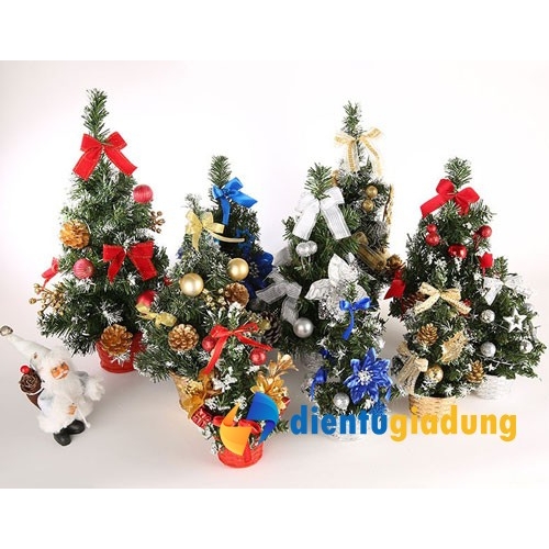 Chậu cây thông Noel mini