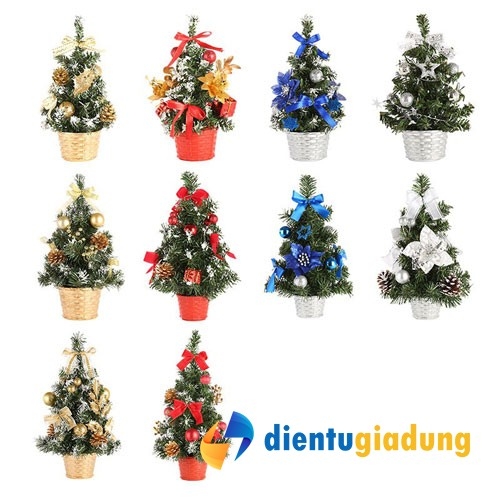 Chậu cây thông Noel mini